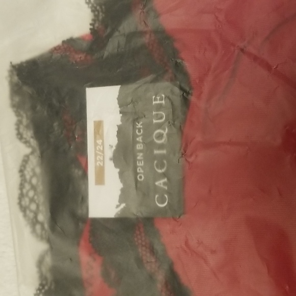 Cacique 22/24 Open Back Lace Panty - Picture 6 of 9